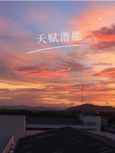 凌宗伟：理想的“德育”是从人出发的-图片3