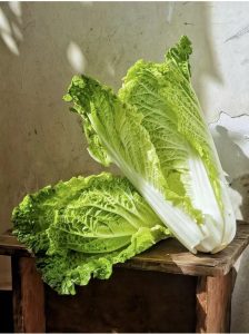小题大做-图片1