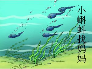 小蝌蚪找妈妈-图片1