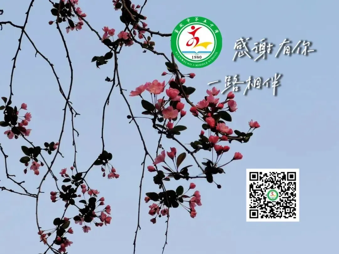宣威市第五中学开展第27届全国推广普通话宣传周系列活动-图片1