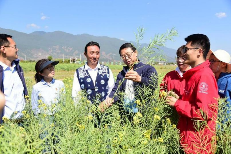 围着农民转、带着农民干……中国农大张福锁院士将科技小院建在田间地头-图片1