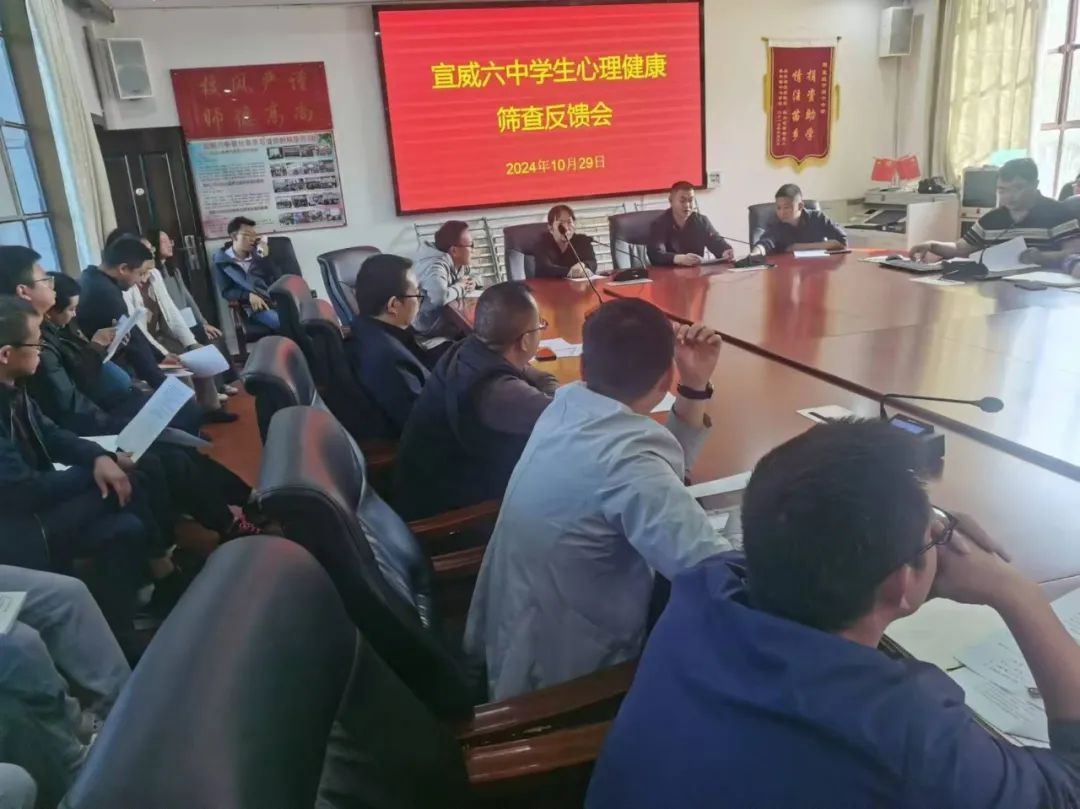 守护青春心灵:宣威六中学生心理健康筛查反馈与干预策略-图片2