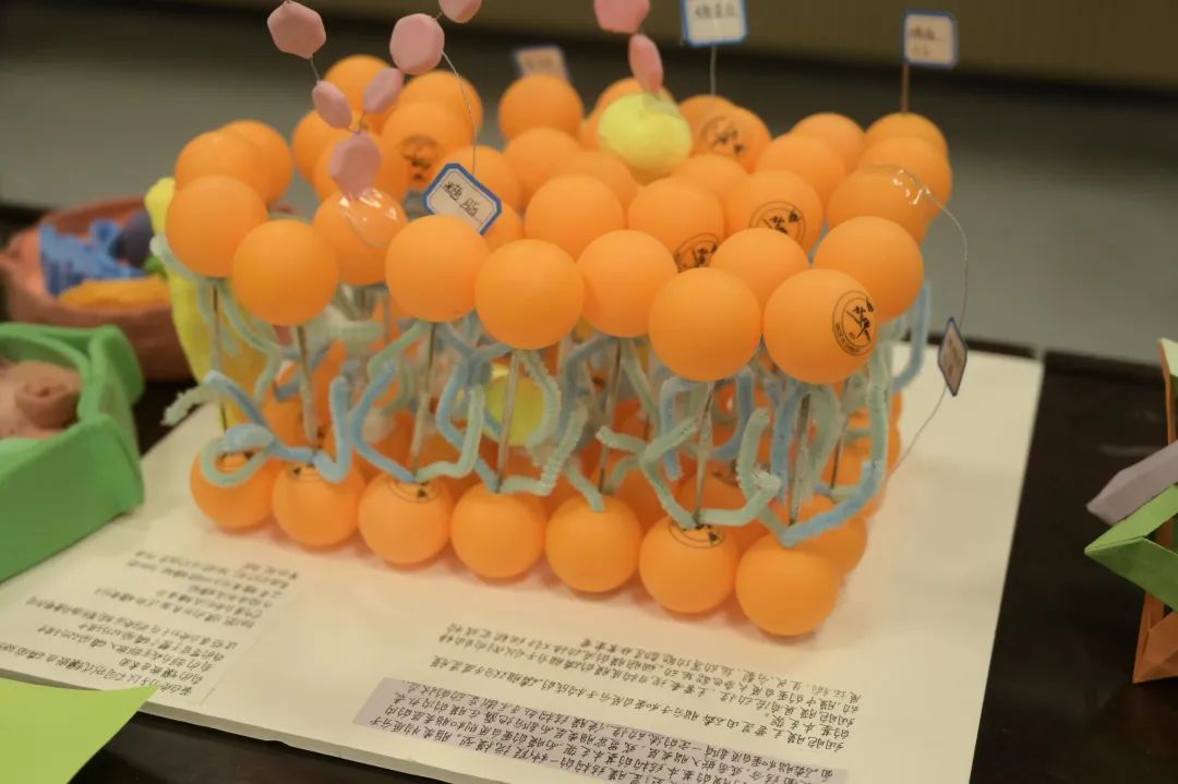 青春活力  科技创新  文化绽放——宣威八中第二十届体育文化艺术节纪实-图片16