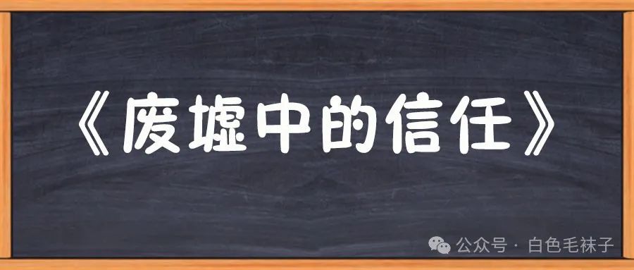 《废墟中的信任》-图片1