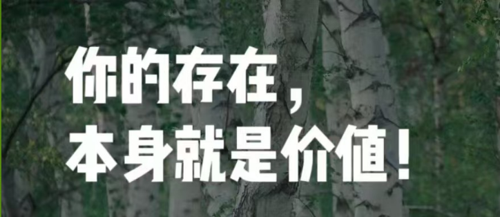 《属于自己的价值》-图片1
