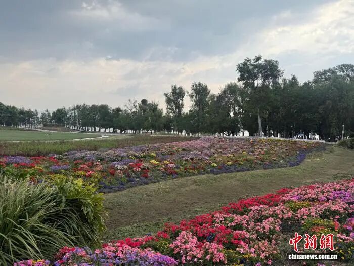 苍山洱海间的健康慢生活-图片1