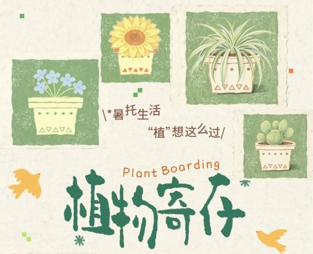 “暑假我的植物宝宝怎么办🤔?”“谢谢,送它进托班了🤗!”-图片1